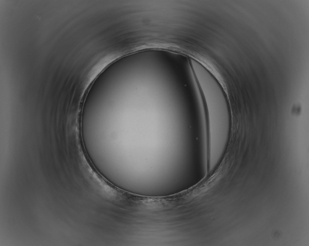 X0000091060906200708271153
