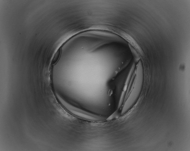 X0000091060908200708271153