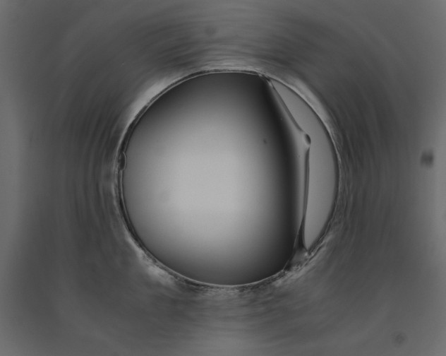 X0000091060909200708271153