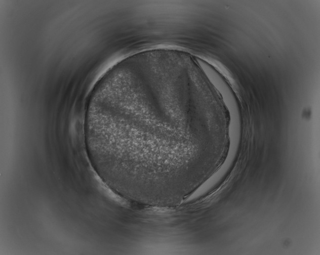 X0000091060910200708271153