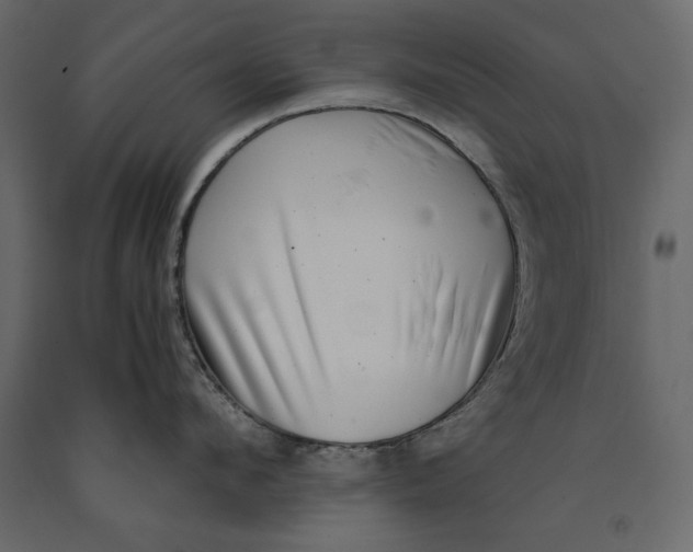 X0000091060912200708271153