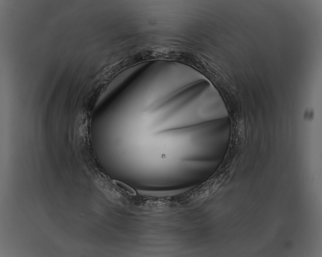 X0000091060914200708271152