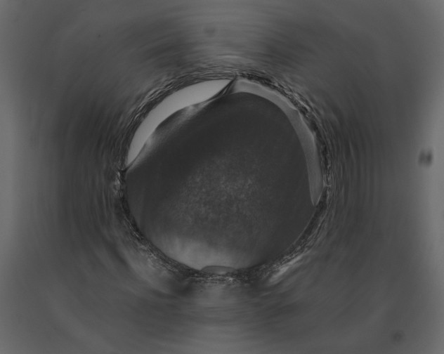 X0000091060916200708271152