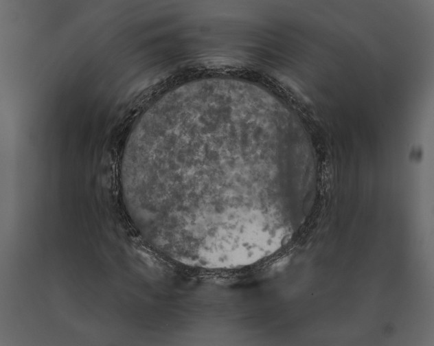 X0000091060917200708271152