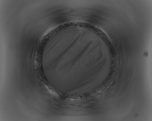 X0000091060919200708271152