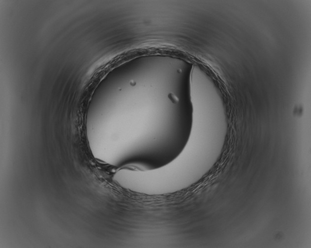X0000091060920200708271152