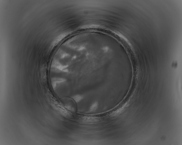 X0000091060921200708271152