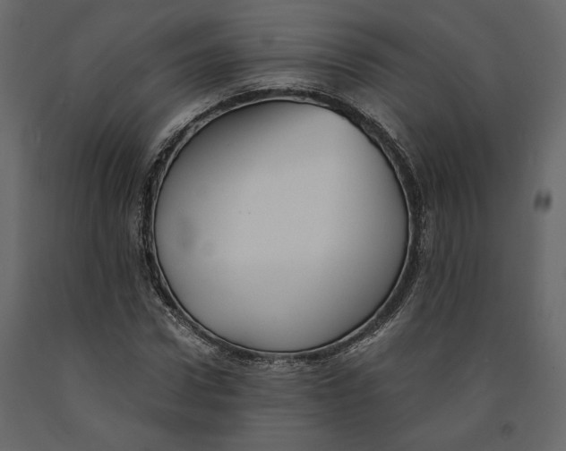 X0000091060922200708271152