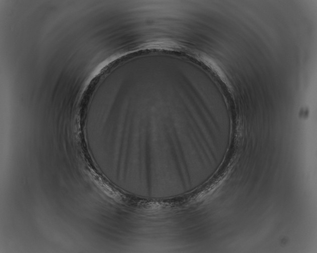 X0000091060923200708271152