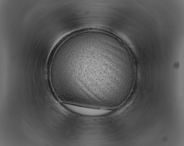 X0000091060924200708271153