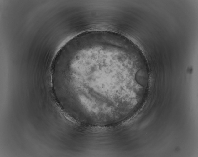 X0000091060925200708271153
