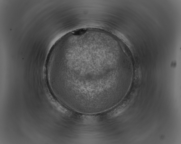 X0000091060928200708271153
