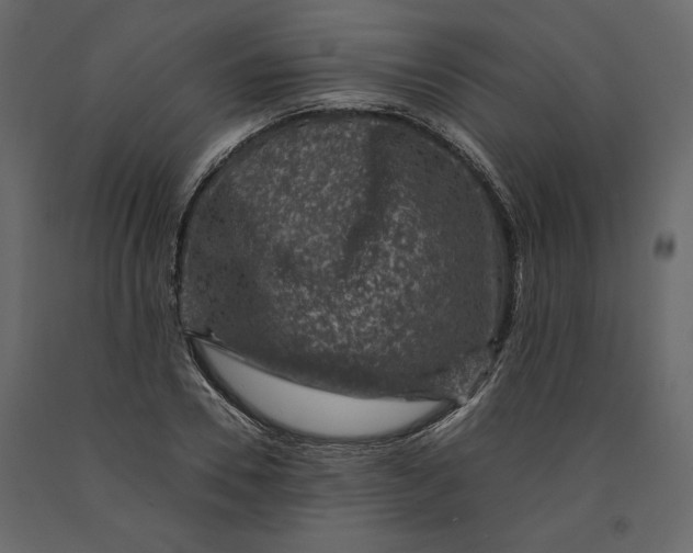 X0000091060930200708271153