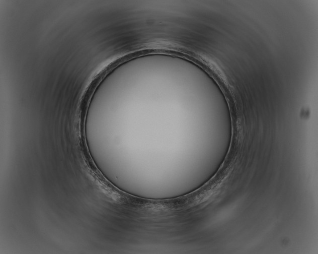 X0000091060931200708271153