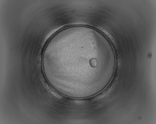 X0000091060933200708271153