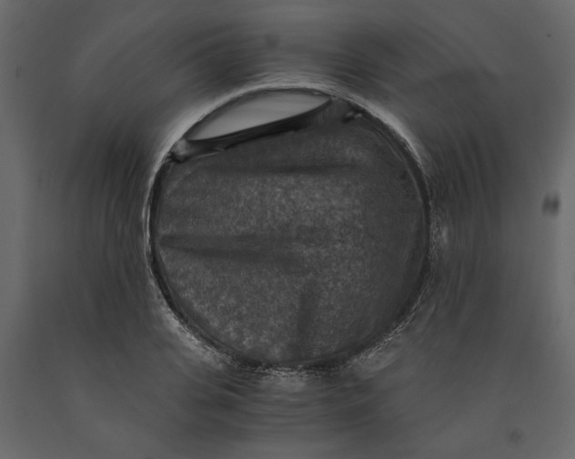 X0000091060935200708271153
