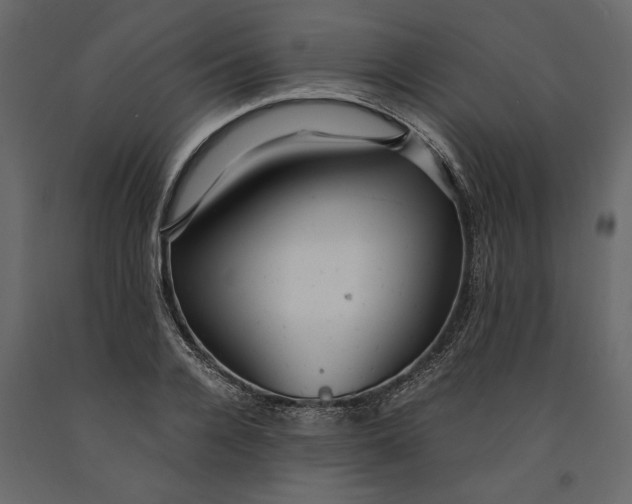 X0000091060936200708271153