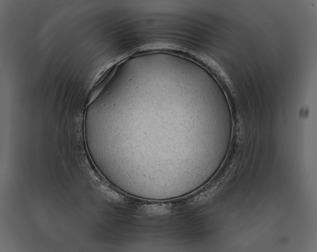 X0000091060937200708271153