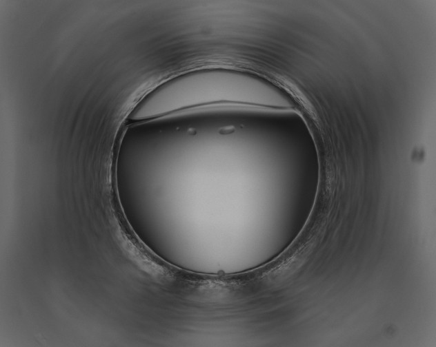 X0000091060938200708271153