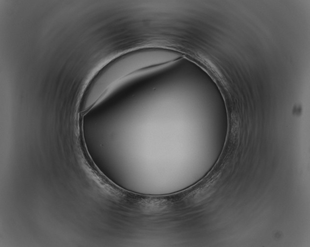 X0000091060939200708271153