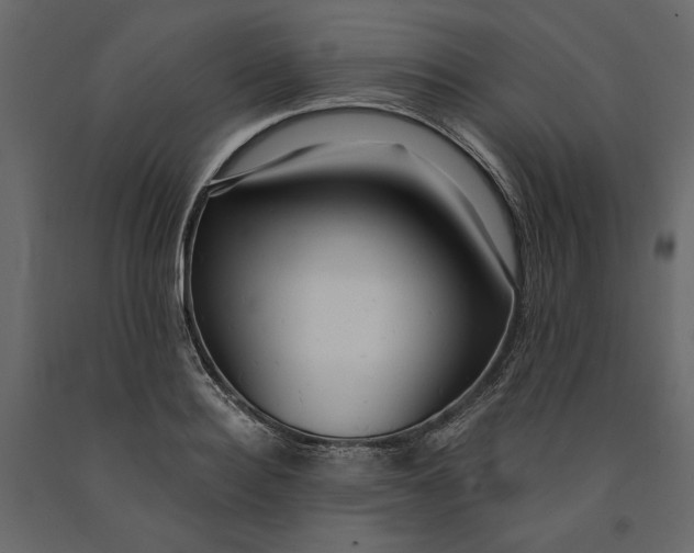 X0000091060940200708271153
