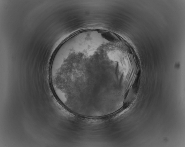 X0000091060941200708271153