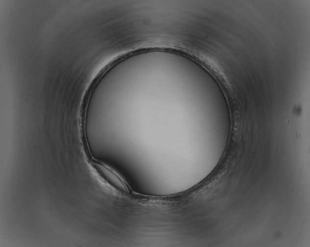 X0000091060942200708271153