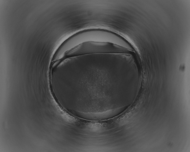 X0000091060943200708271153
