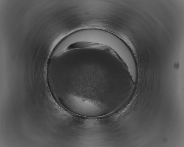X0000091060944200708271153