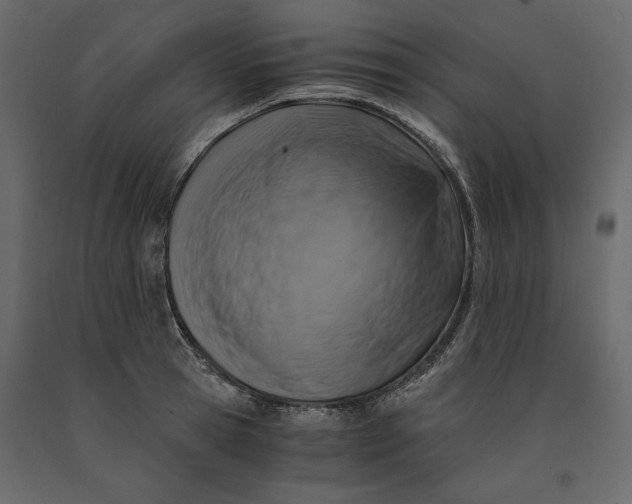 X0000091060945200708271153