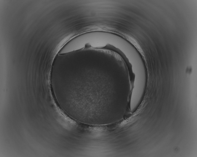 X0000091060946200708271153