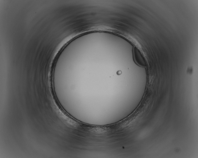 X0000091060947200708271153