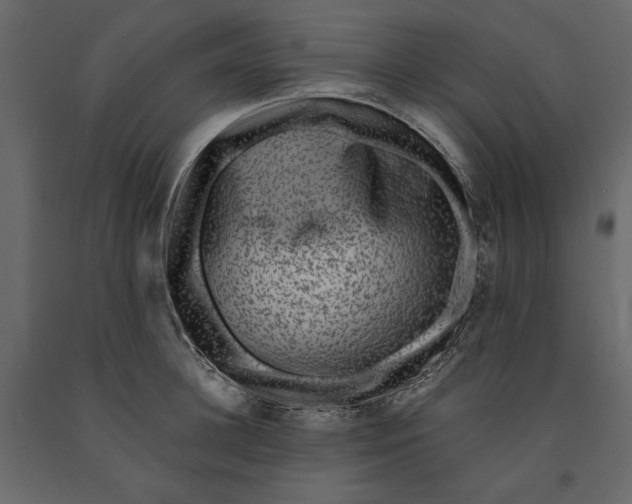 X0000091060948200708271153