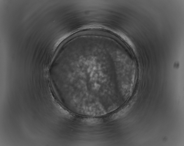 X0000091060953200708271153