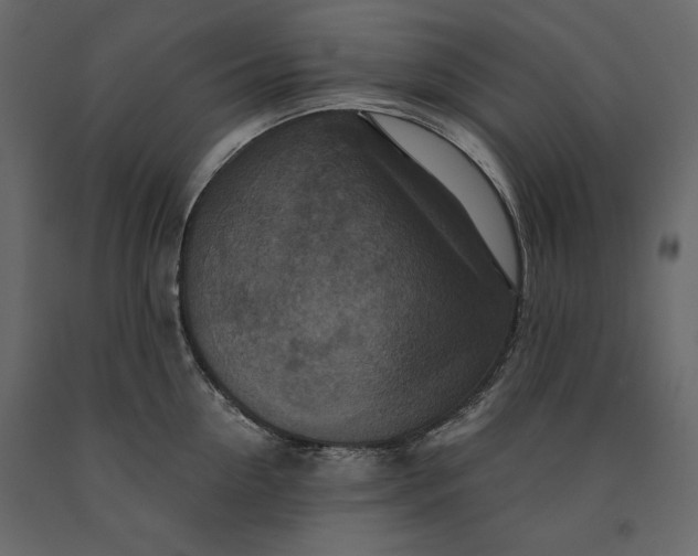 X0000091060954200708271153