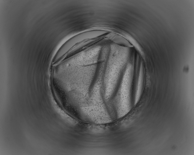 X0000091060955200708271153