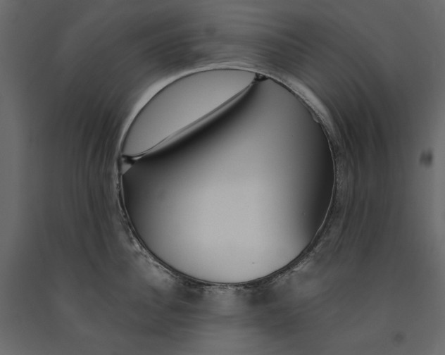X0000091060956200708271153