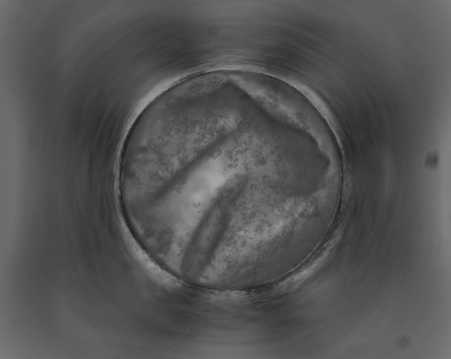 X0000091060957200708271153