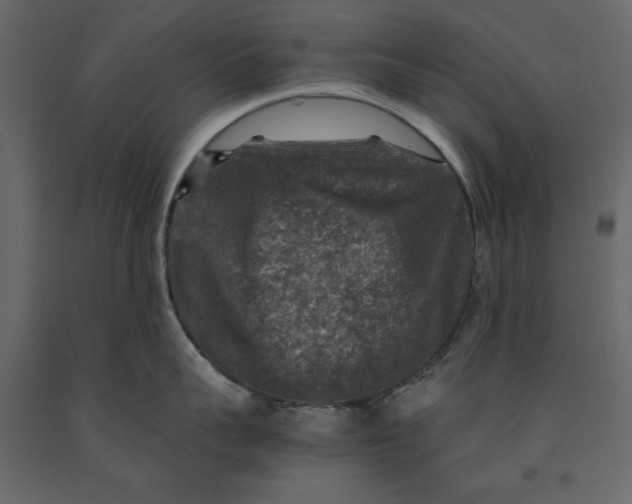 X0000091060959200708271153