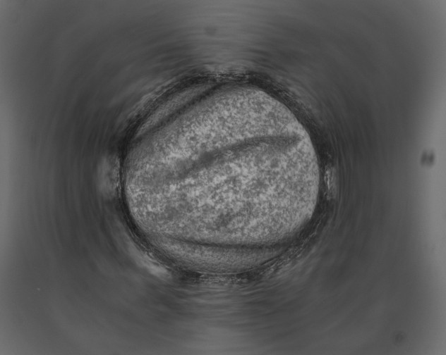 X0000091060963200708271152