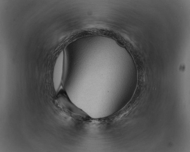 X0000091060965200708271152