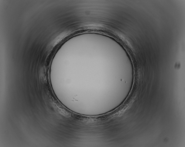 X0000091060970200708271152
