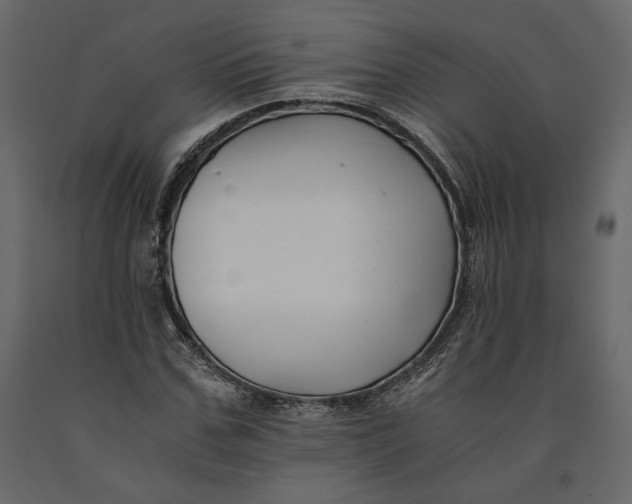 X0000091060971200708271152
