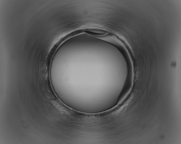 X0000091060973200708271152