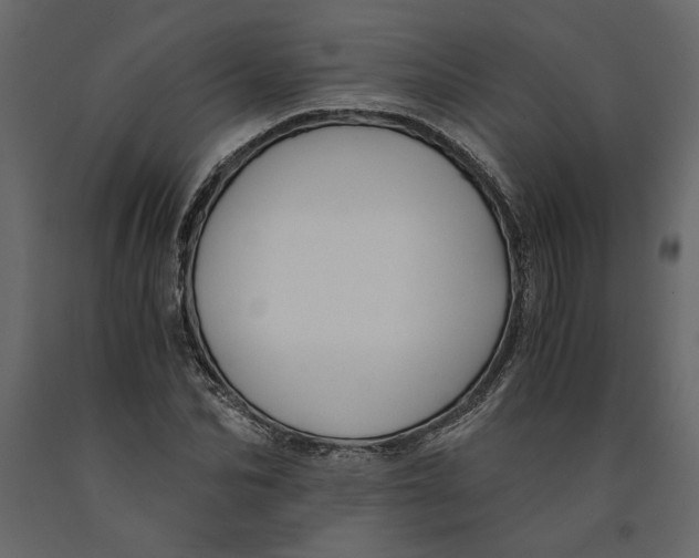 X0000091060974200708271152