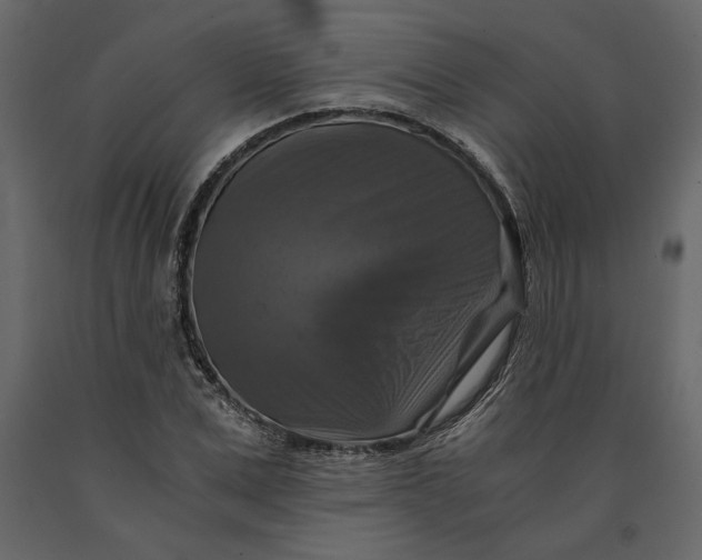 X0000091060975200708271152
