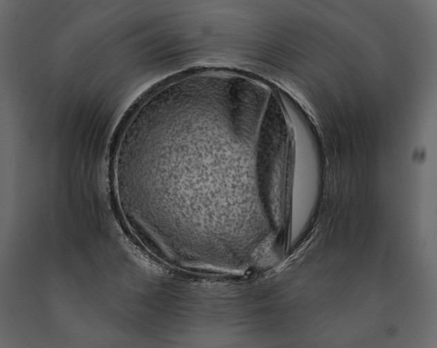 X0000091060976200708271152