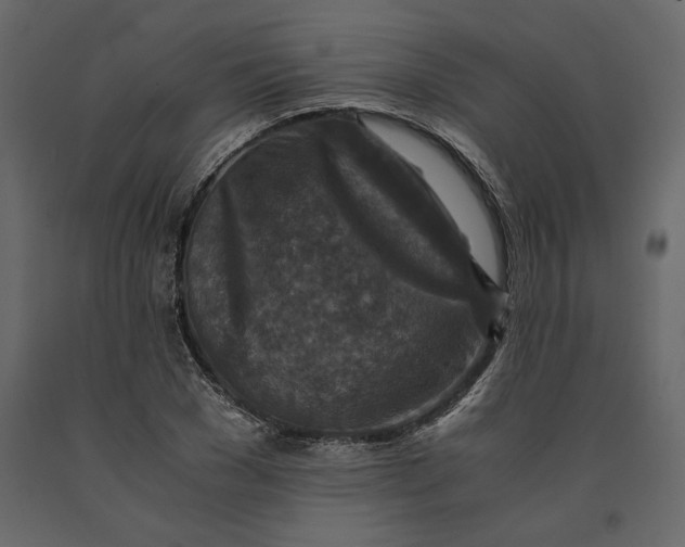X0000091060977200708271152