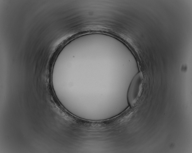 X0000091060979200708271152