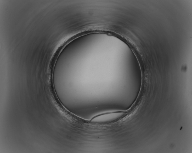 X0000091060981200708271152